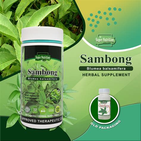 how to drink sambong capsule|How To Drink Sambong .